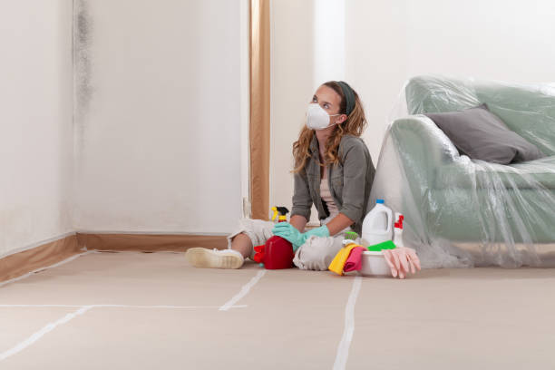 Reliable Mold Remediation contractor in Spring Lake, MI by Mold Remediation HQ